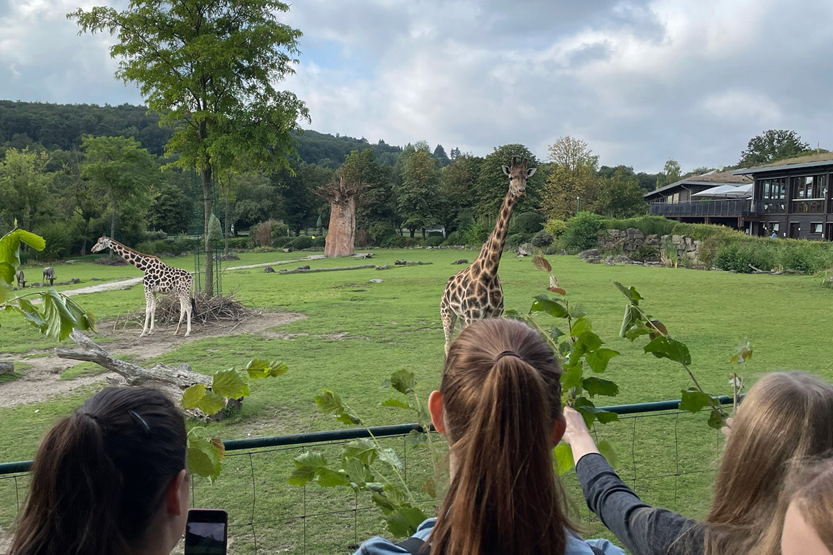 Zoo Biology Teaching